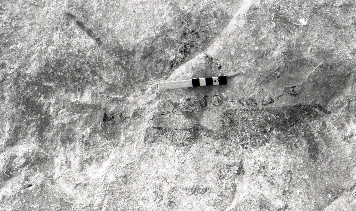 Picture of KMC 28 