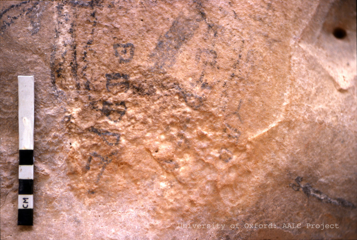 Image of KMC 61-63