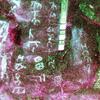 Image of KMD 28-31