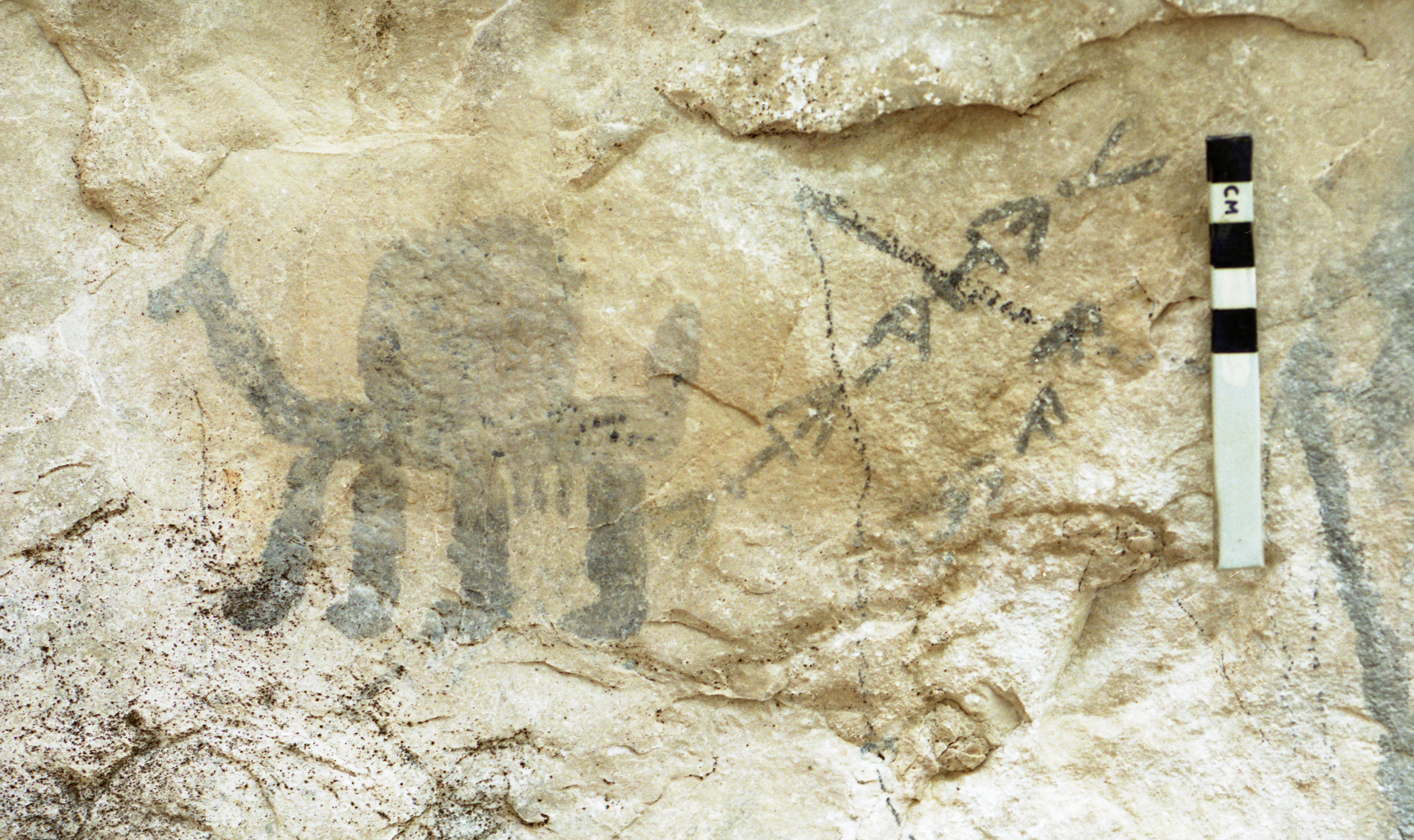 Image of KME 148-149