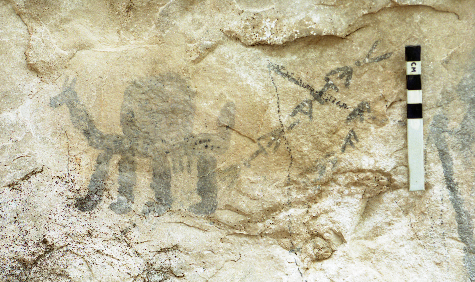 Image of KME 148-149