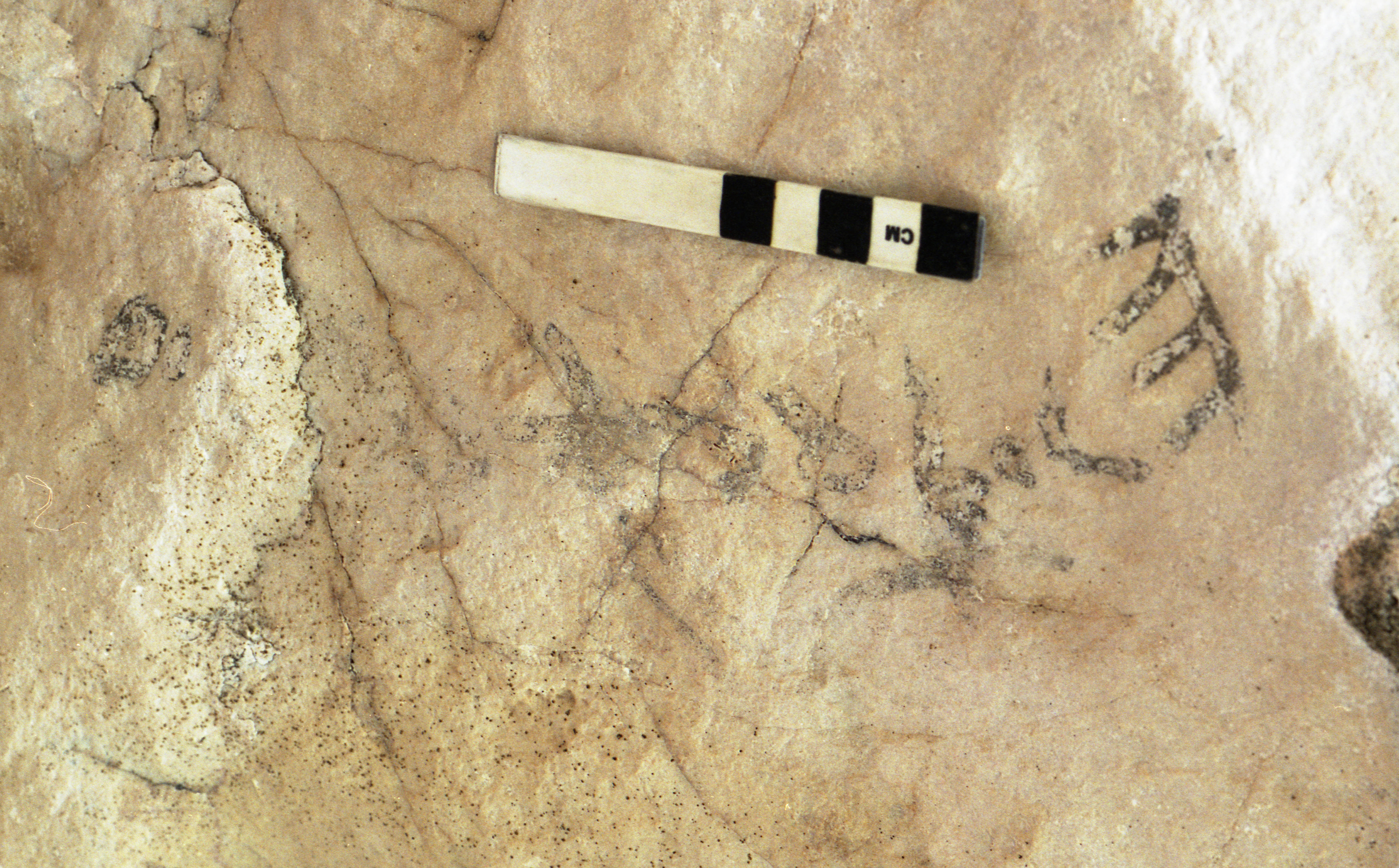 Image of KME 218