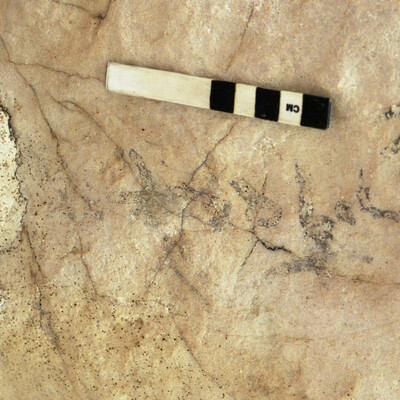 Image of KME 218