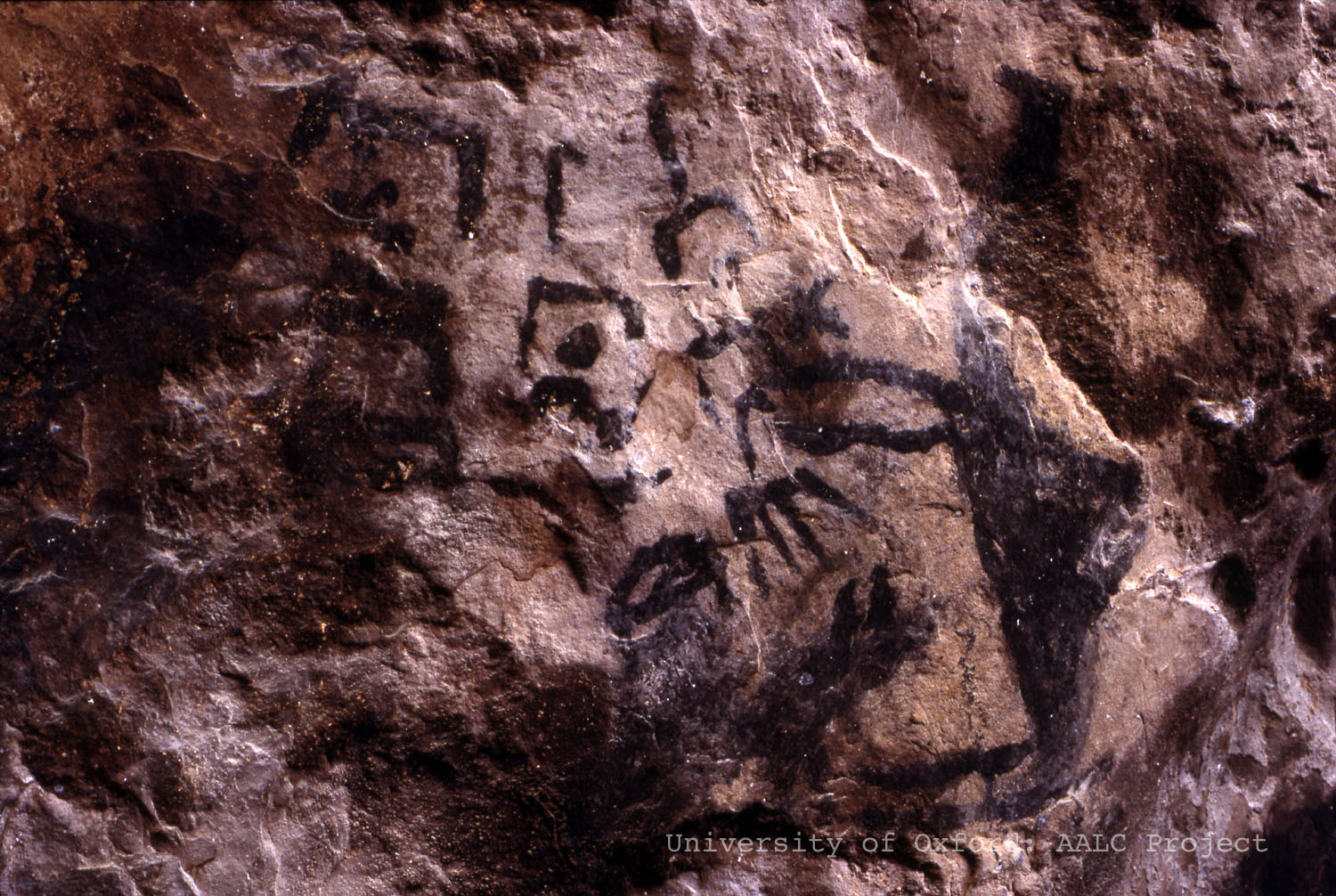 Image of KMG 149-151