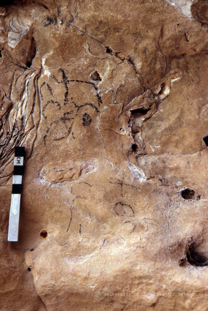 Image of KMG 44-47