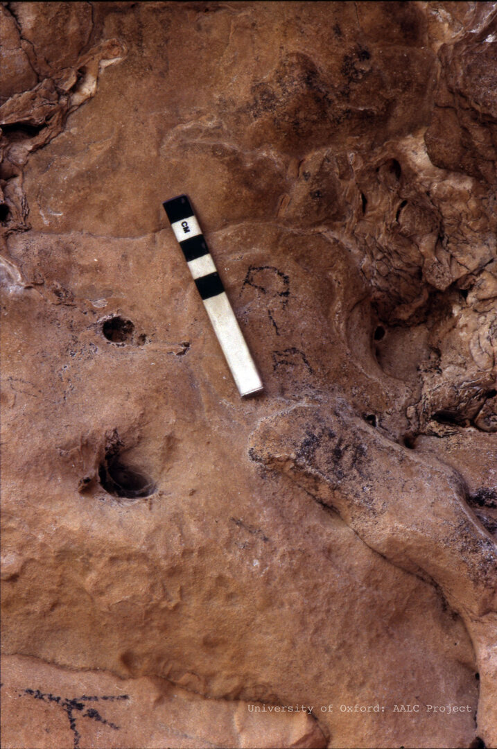 Image of KMG 48