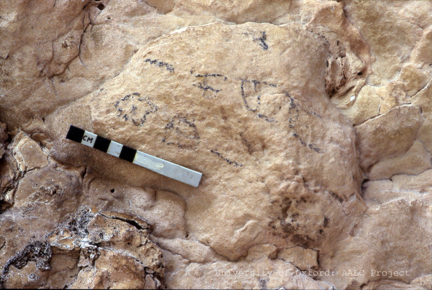 Image of KMG 53-54