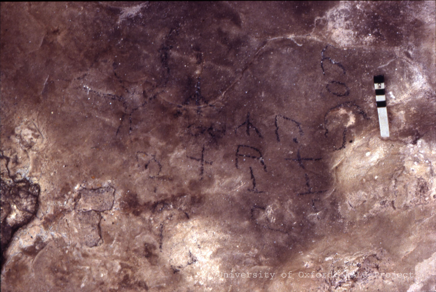 Image of KMG 90-94