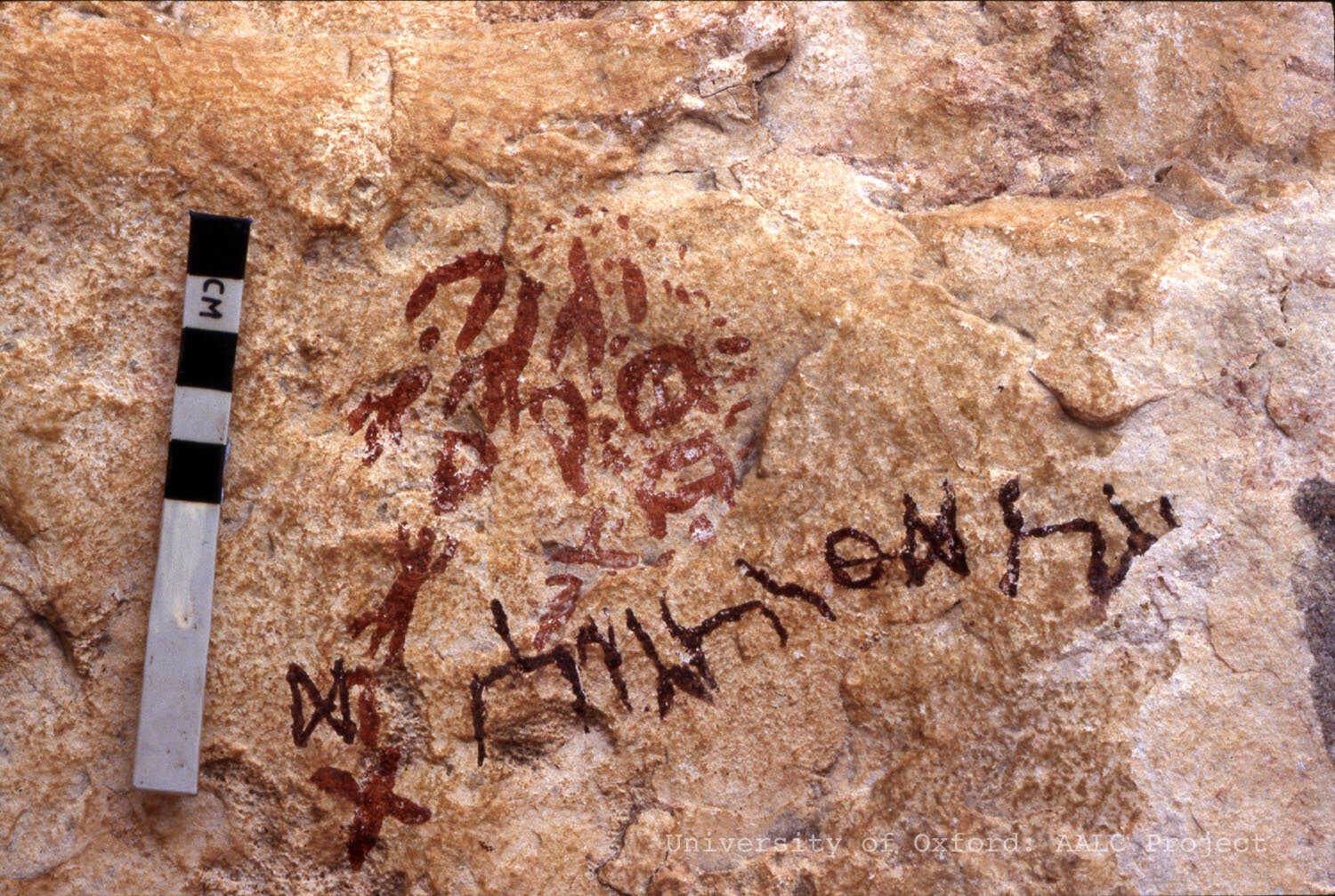 Image of KMHH 9