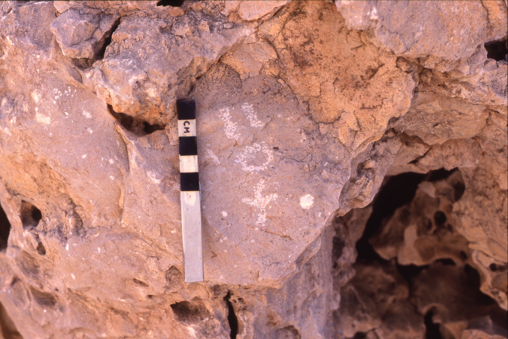 Image of KMI 14