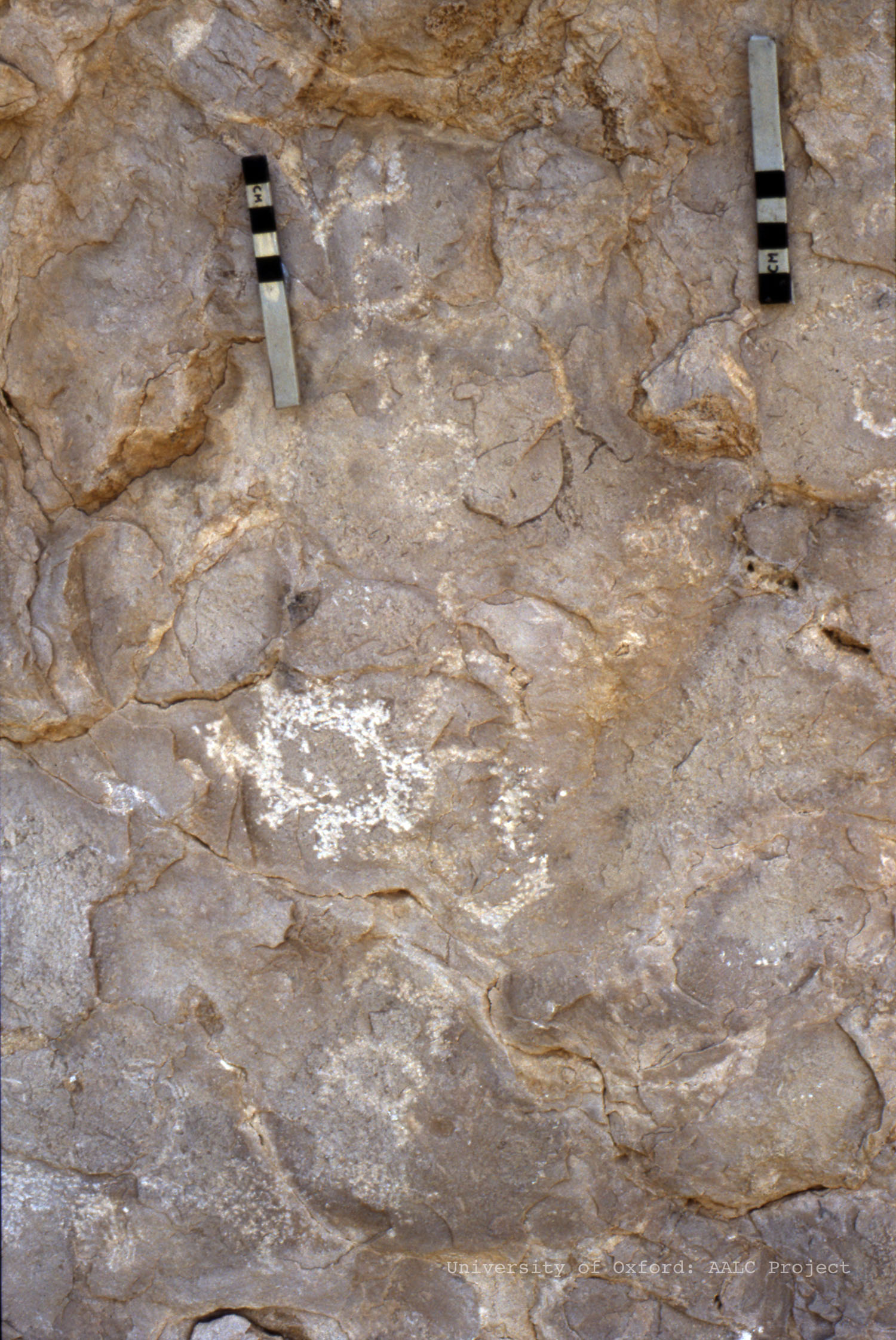 Image of KMI 5