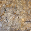 Image of KMI 5