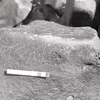 inscription of siglum KRS 1004