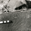 inscription of siglum KRS 1048