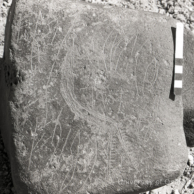 inscription of siglum KRS 1113