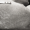 inscription of siglum KRS 1141