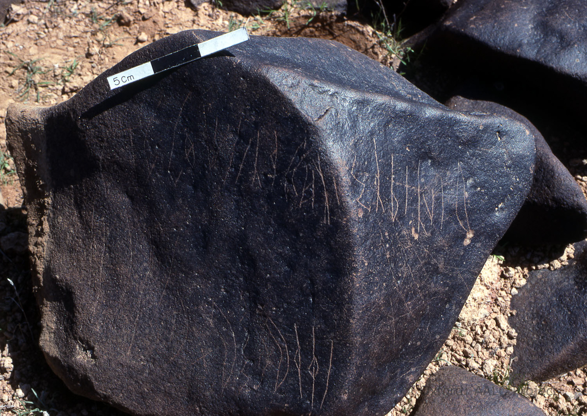 inscription of siglum KRS 1193