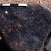 inscription of siglum KRS 1200