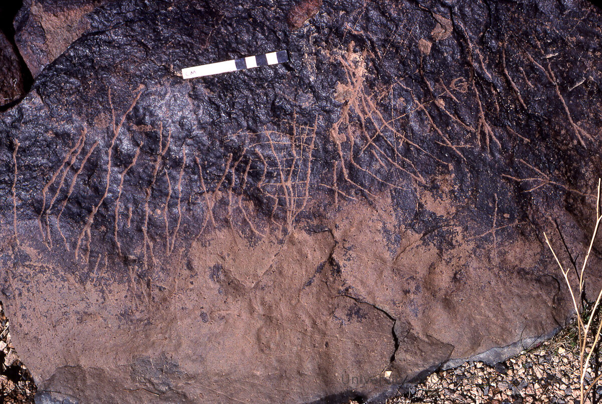 inscription of siglum KRS 1223