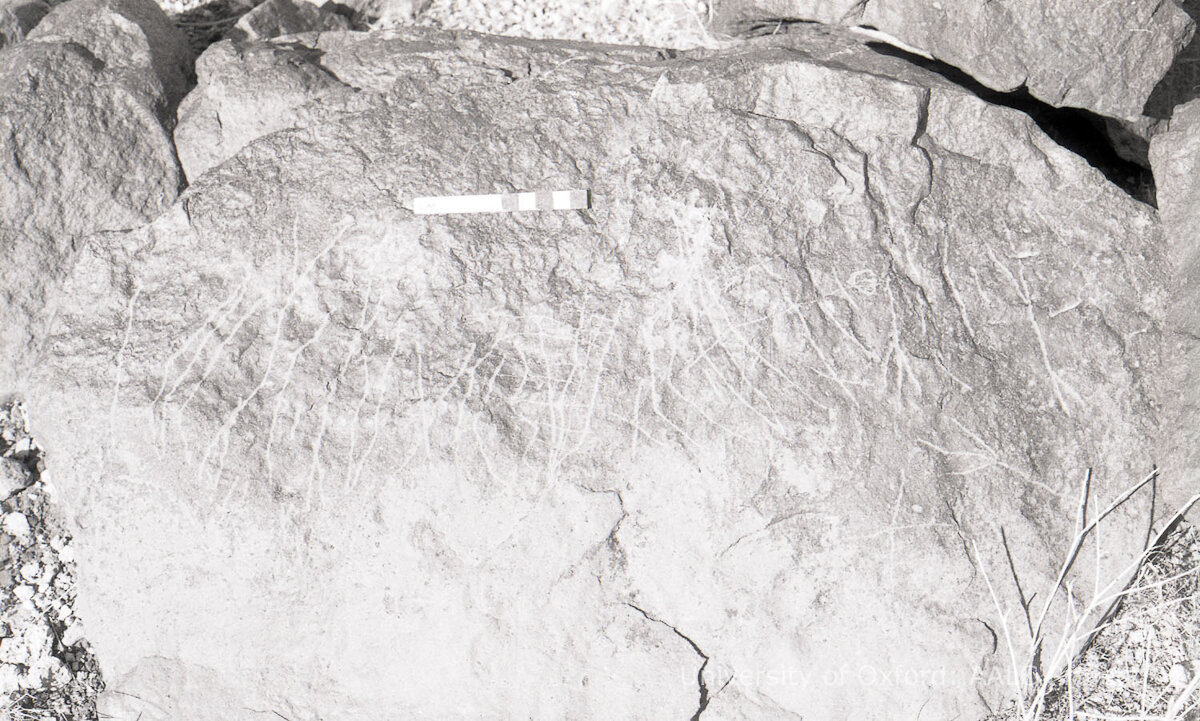 inscription of siglum KRS 1224