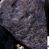 inscription of siglum KRS 1233