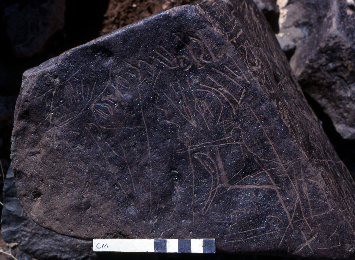 inscription of siglum KRS 1238