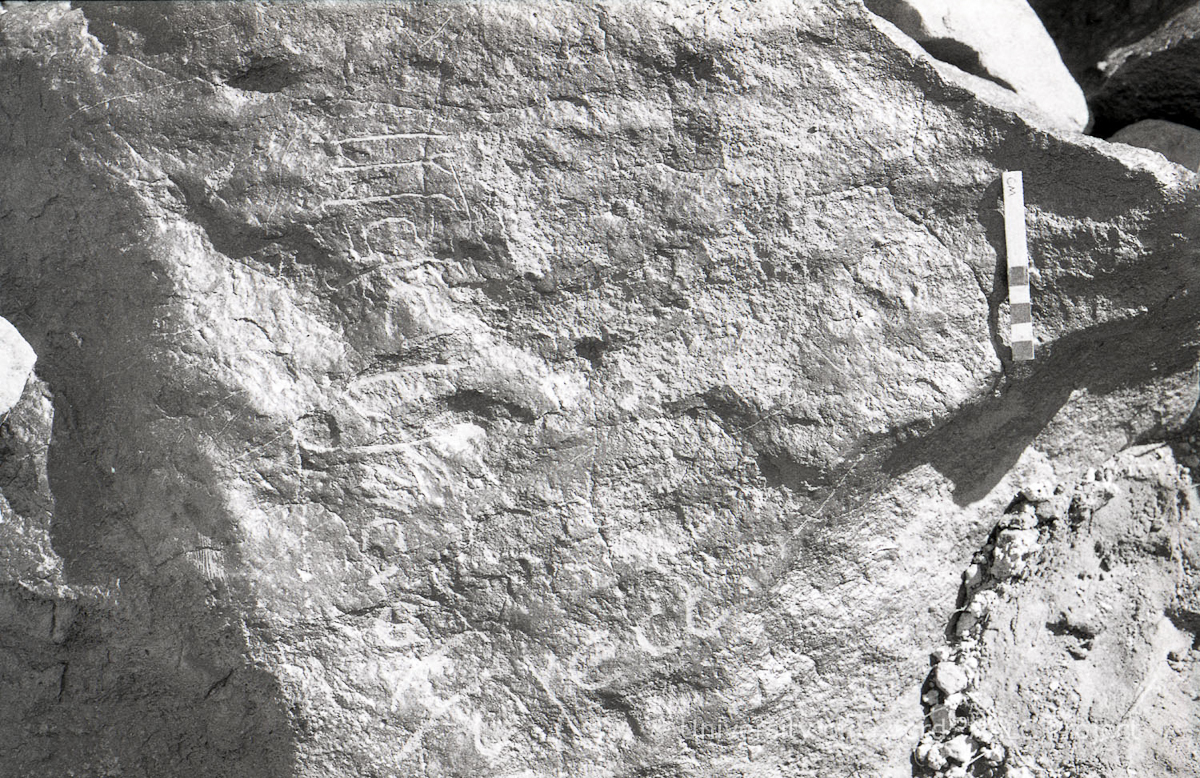 inscription of siglum KRS 1246