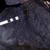 inscription of siglum KRS 1256