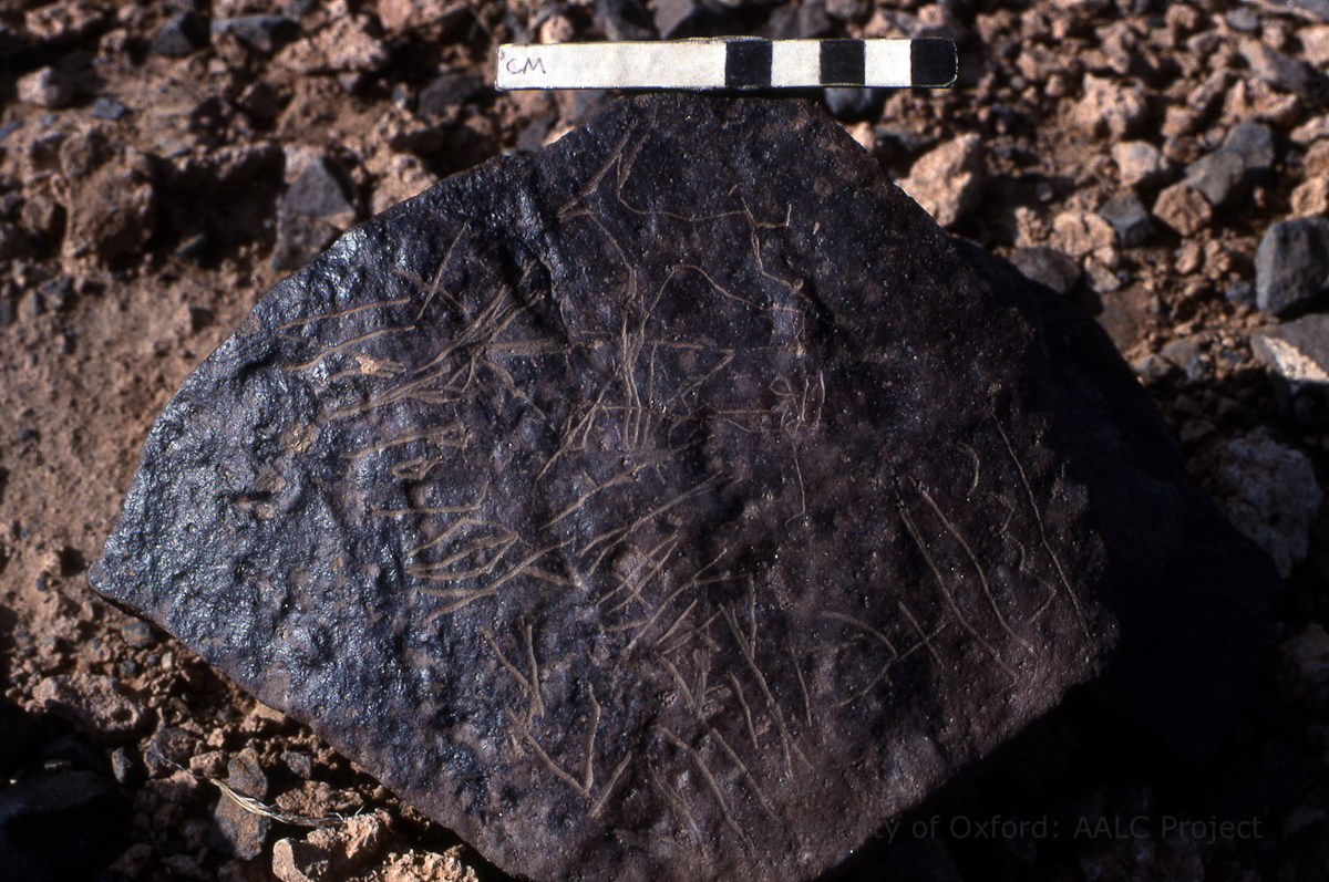 inscription of siglum KRS 1290