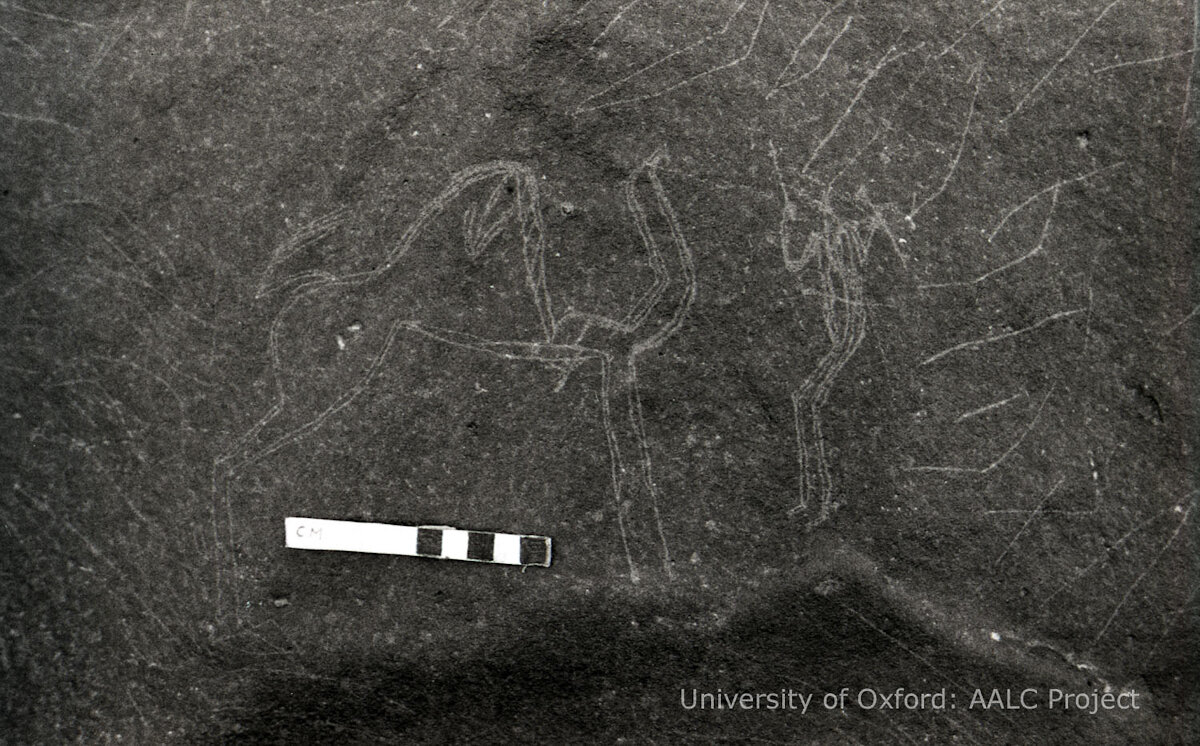 inscription of siglum KRS 1306