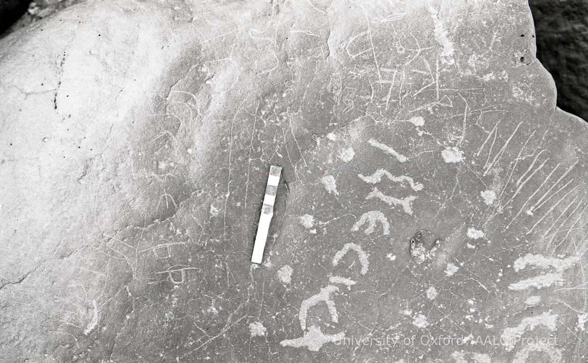 inscription of siglum KRS 1319