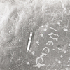 inscription of siglum KRS 1319