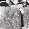 inscription of siglum KRS 1319
