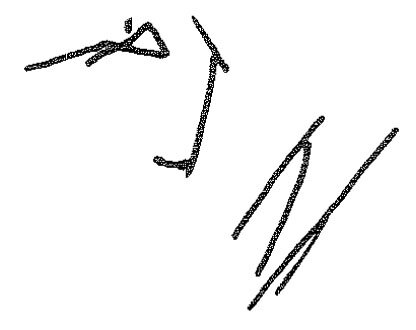 inscription of siglum KRS 1321