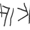 inscription of siglum KRS 1322