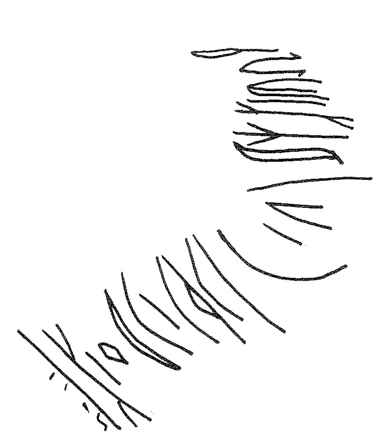 inscription of siglum KRS 1420