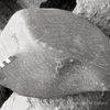 inscription of siglum KRS 1420