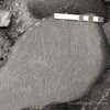 inscription of siglum KRS 1421