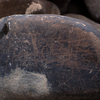 inscription of siglum KRS 1425
