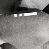 inscription of siglum KRS 1435