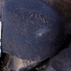 inscription of siglum KRS 1435