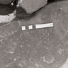 inscription of siglum KRS 1461