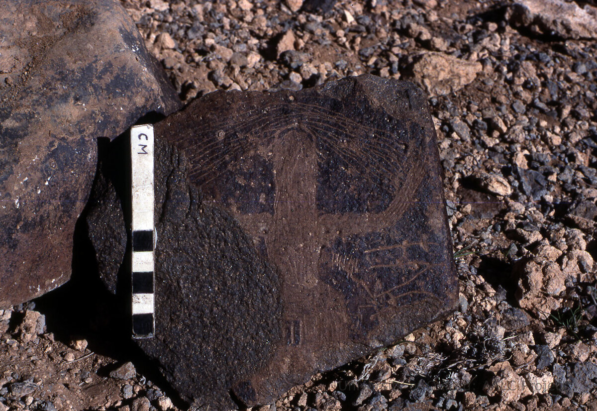inscription of siglum KRS 1516