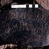 inscription of siglum KRS 1530