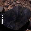 inscription of siglum KRS 1544
