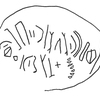 inscription of siglum KRS 1569