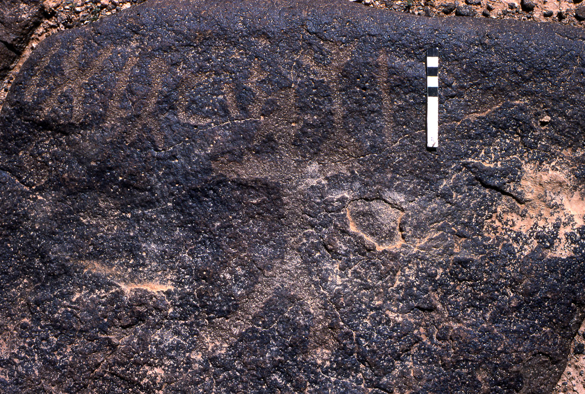 inscription of siglum KRS 1595