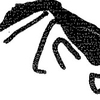 inscription of siglum KRS 1609