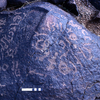 inscription of siglum KRS 1678