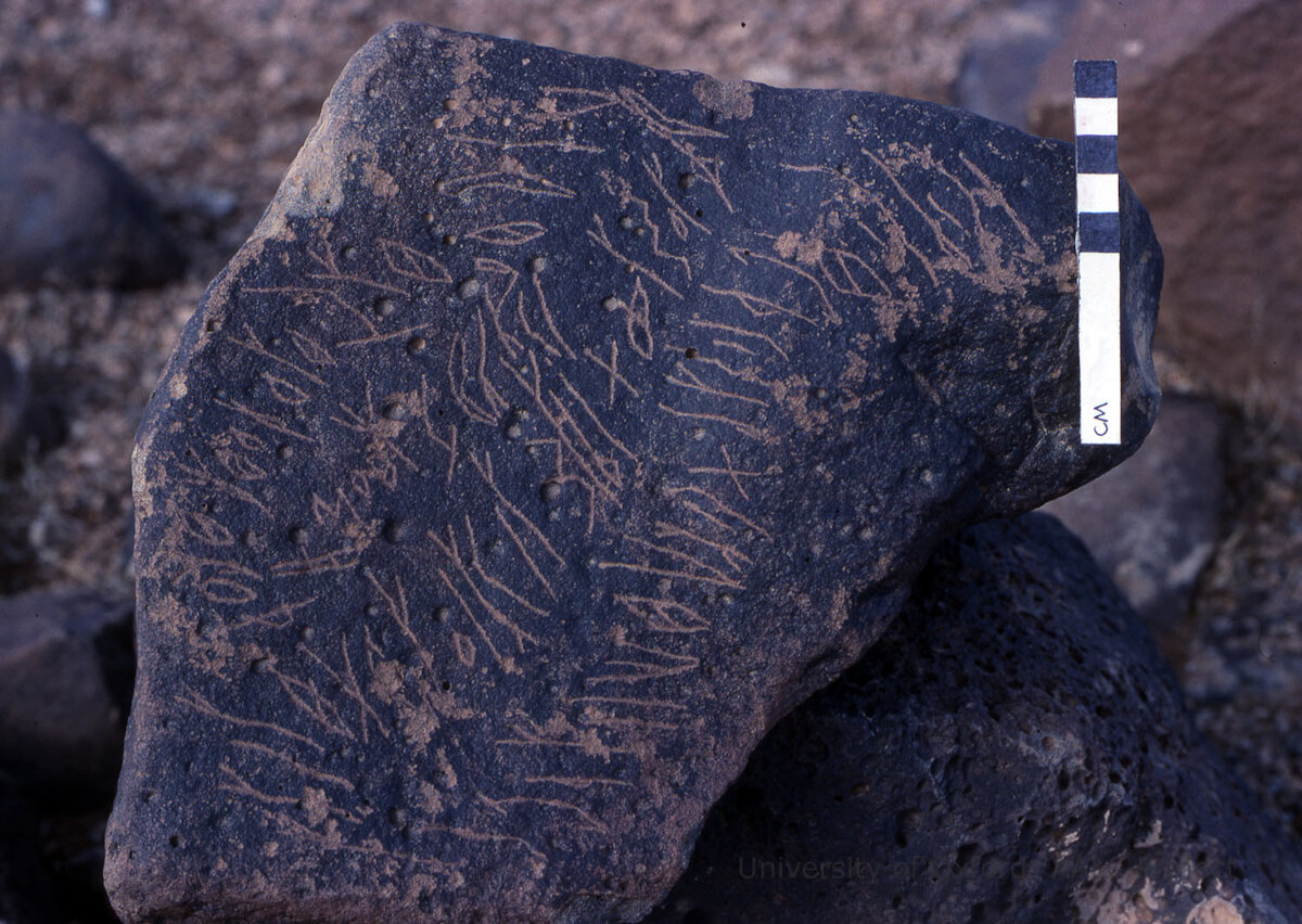 inscription of siglum KRS 1683